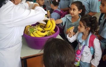 A group of adults stand behind a table which has large bowls full of bananas on it. A crowd of children stand in front of the table.