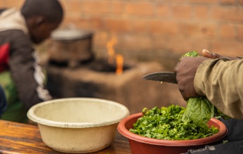 Close up of two bowls on a table and hands cutting green leafy vegetables