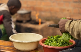 Close up of two bowls on a table and hands cutting green leafy vegetables