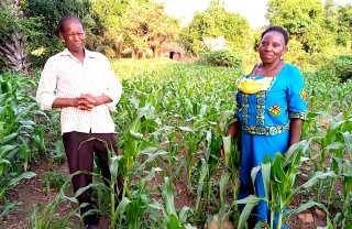 A male and female farmer standing in a field full of crops posing for a photo