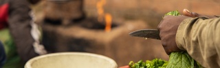 Close up of two bowls on a table and hands cutting green leafy vegetables