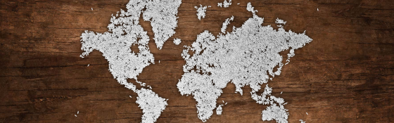 Rice map