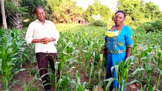 A male and female farmer standing in a field full of crops posing for a photo